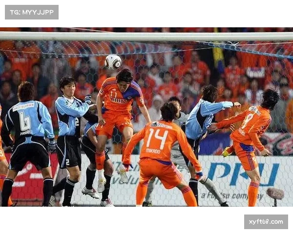 因野生动物干扰，新潟天鹅取消训练计划，赛前准备受影响